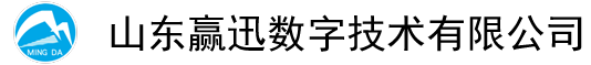 山東贏迅數字技術有限公司